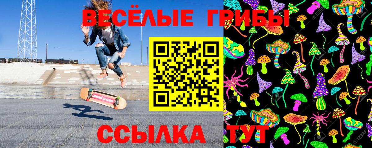 Галлюциногенные грибы мицелий  дарнет шоп  Корсаков  Вход с VPN 