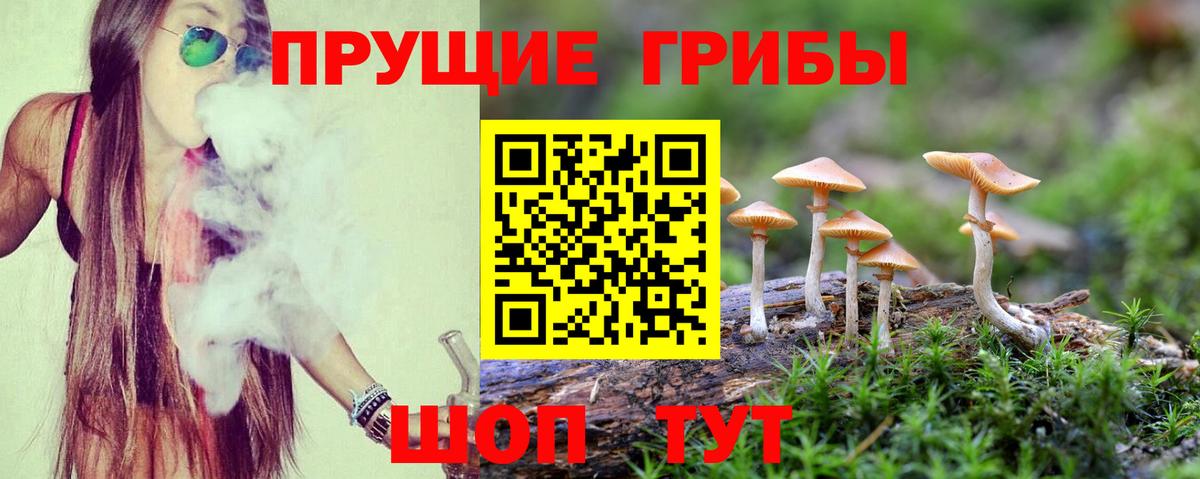 Псилоцибиновые грибы Cubensis Корсаков
